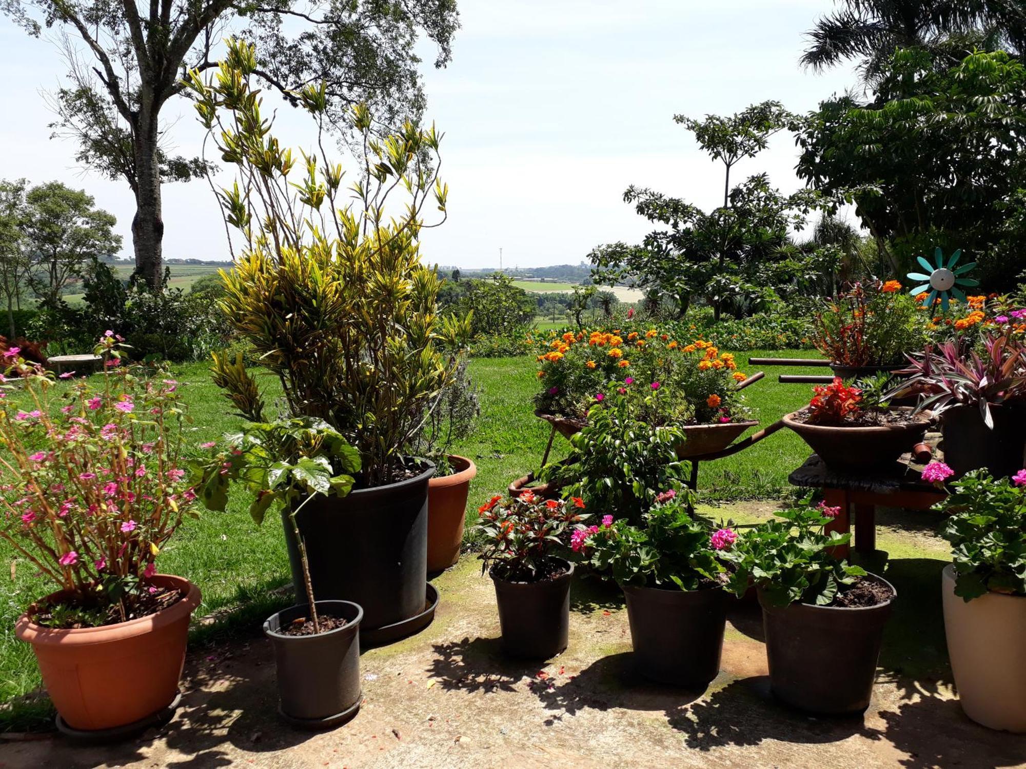 Parque Paraiso Das Flores Holambra Extérieur photo